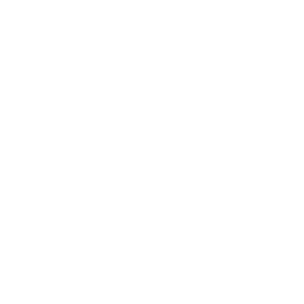 Dassault Aviation white formaté Neomix